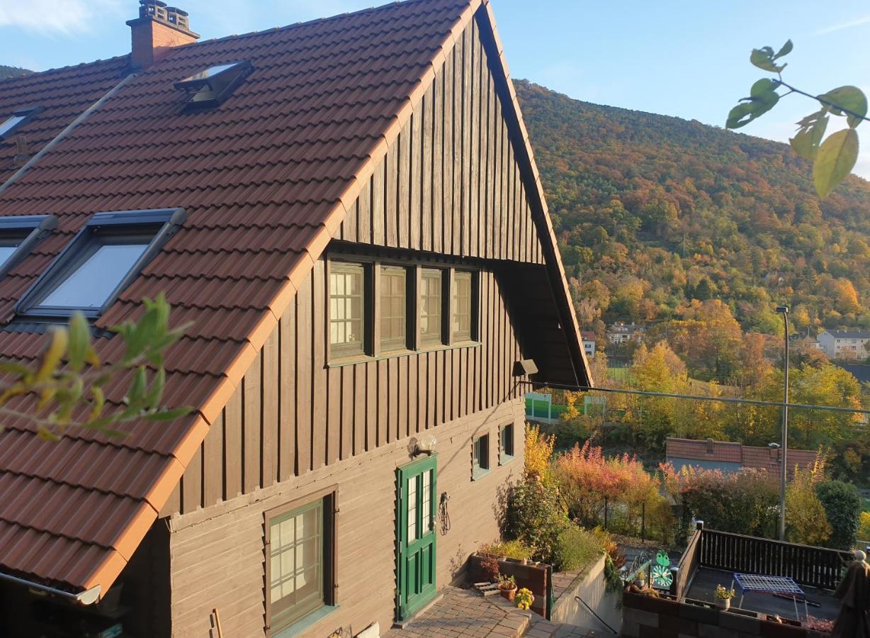 Schontalblick Villa Neustadt an der Weinstrasse Ngoại thất bức ảnh